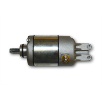 Paaschburg und Wunderlich 275-707