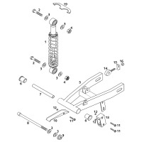 SCHWINGARM