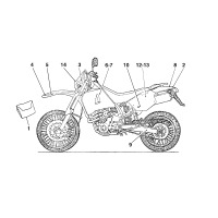 DEKOR (FARBCODE F)