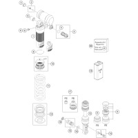 FEDERBEIN ZERLEGT