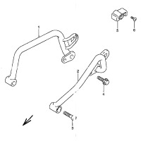 GEPAECKTRAEGER