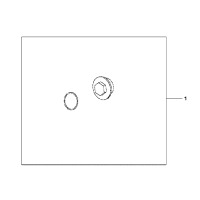 OELEINFUELLSCHRAUBE