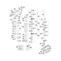 FEDERBEIN ZERLEGT FE