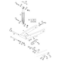 SCHWINGARM