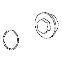 OELEINFUELLSCHRAUBE
