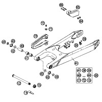 SCHWINGARM