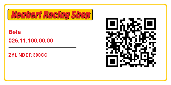 Beta 026.11.100.00.00