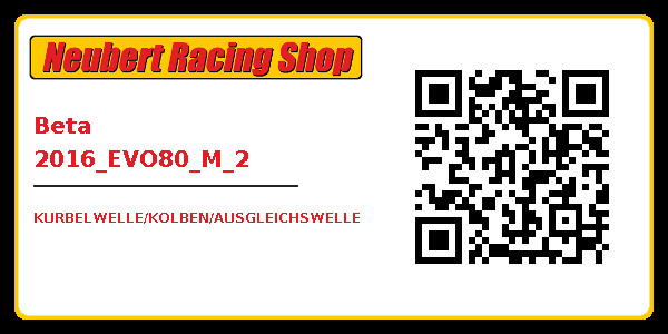 Beta 2016_EVO80_M_2