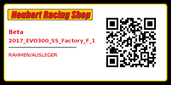 Beta 2017_EVO300_SS_Factory_F_1