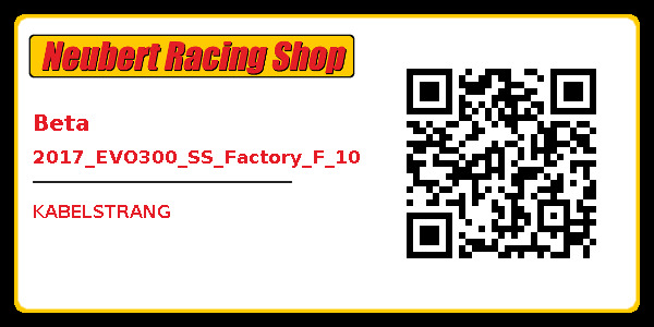Beta 2017_EVO300_SS_Factory_F_10