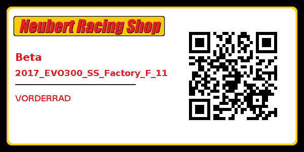 Beta 2017_EVO300_SS_Factory_F_11