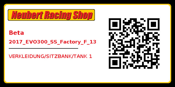 Beta 2017_EVO300_SS_Factory_F_13