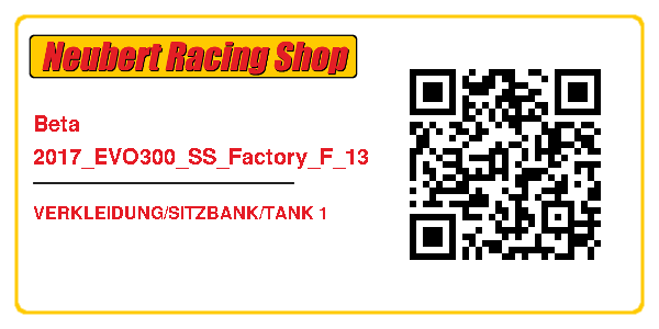 Beta 2017_EVO300_SS_Factory_F_13