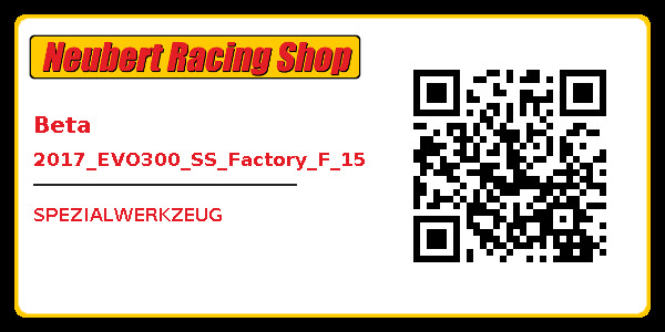 Beta 2017_EVO300_SS_Factory_F_15