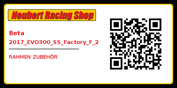 Beta 2017_EVO300_SS_Factory_F_2