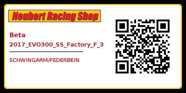 Beta 2017_EVO300_SS_Factory_F_3