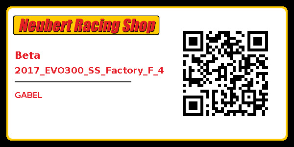 Beta 2017_EVO300_SS_Factory_F_4