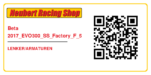 Beta 2017_EVO300_SS_Factory_F_5