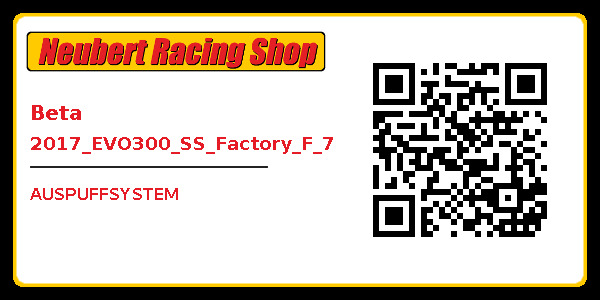 Beta 2017_EVO300_SS_Factory_F_7