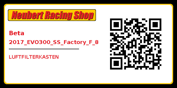 Beta 2017_EVO300_SS_Factory_F_8