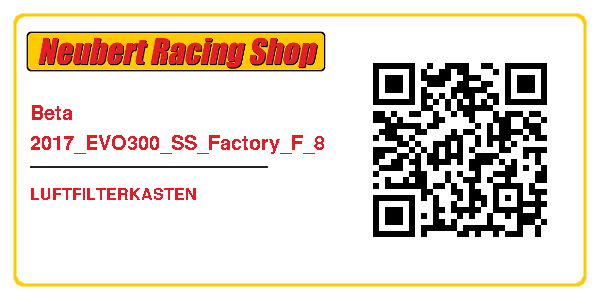 Beta 2017_EVO300_SS_Factory_F_8