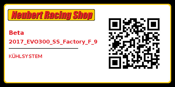 Beta 2017_EVO300_SS_Factory_F_9