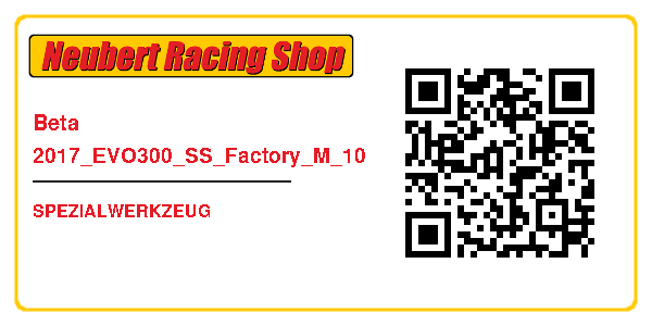 Beta 2017_EVO300_SS_Factory_M_10
