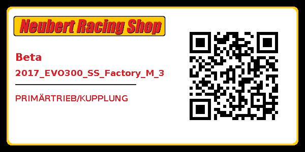Beta 2017_EVO300_SS_Factory_M_3