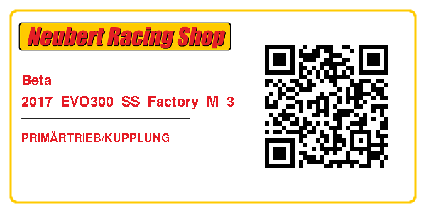 Beta 2017_EVO300_SS_Factory_M_3