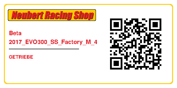 Beta 2017_EVO300_SS_Factory_M_4