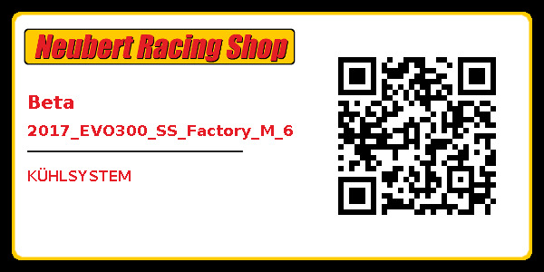 Beta 2017_EVO300_SS_Factory_M_6
