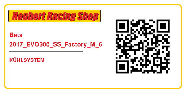 Beta 2017_EVO300_SS_Factory_M_6