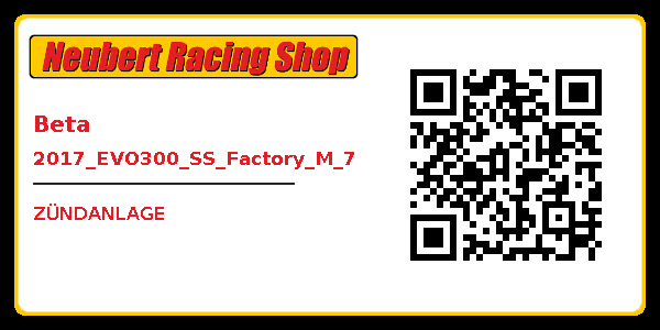 Beta 2017_EVO300_SS_Factory_M_7