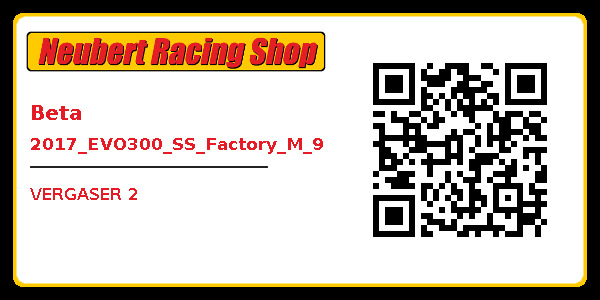 Beta 2017_EVO300_SS_Factory_M_9