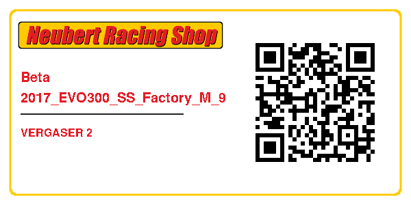 Beta 2017_EVO300_SS_Factory_M_9