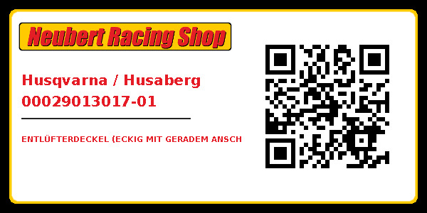 Husqvarna / Husaberg 00029013017-01