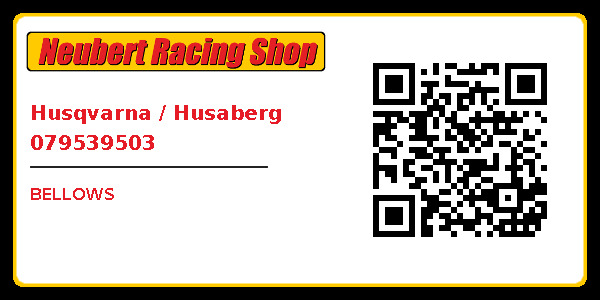 Husqvarna / Husaberg 079539503