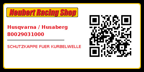 Husqvarna / Husaberg 80029031000