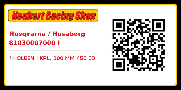 Husqvarna / Husaberg 81030007000 I