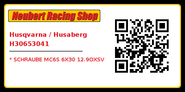 Husqvarna / Husaberg H30653041