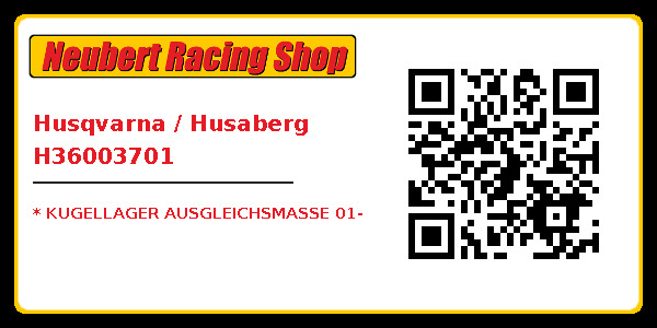 Husqvarna / Husaberg H36003701