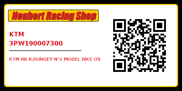 KTM 3PW190007300
