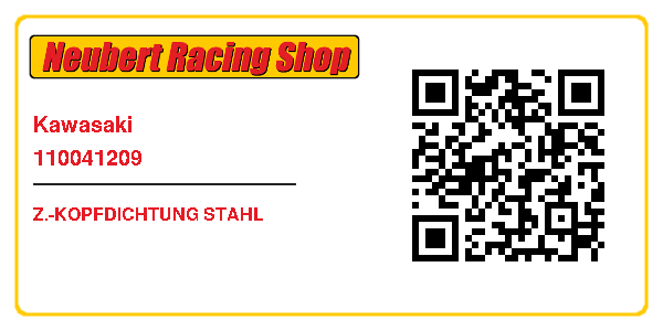 Kawasaki 110041209