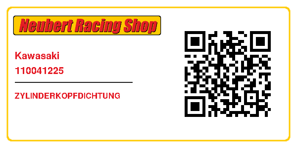 Kawasaki 110041225