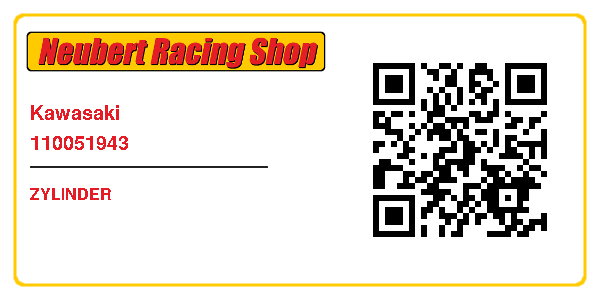 Kawasaki 110051943