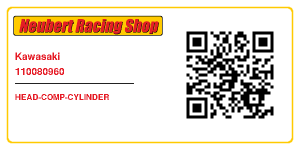 Kawasaki 110080960