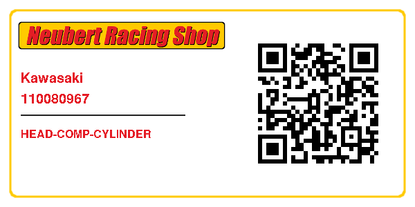 Kawasaki 110080967