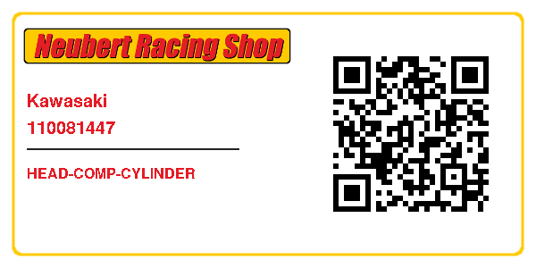 Kawasaki 110081447
