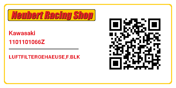 Kawasaki 1101101066Z