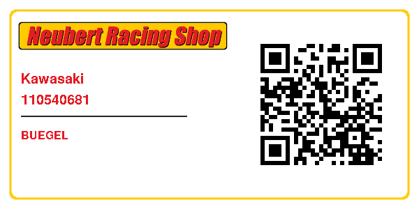 Kawasaki 110540681